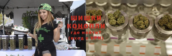 spice Алзамай