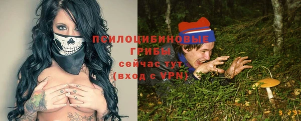 ALPHA PVP Алексин